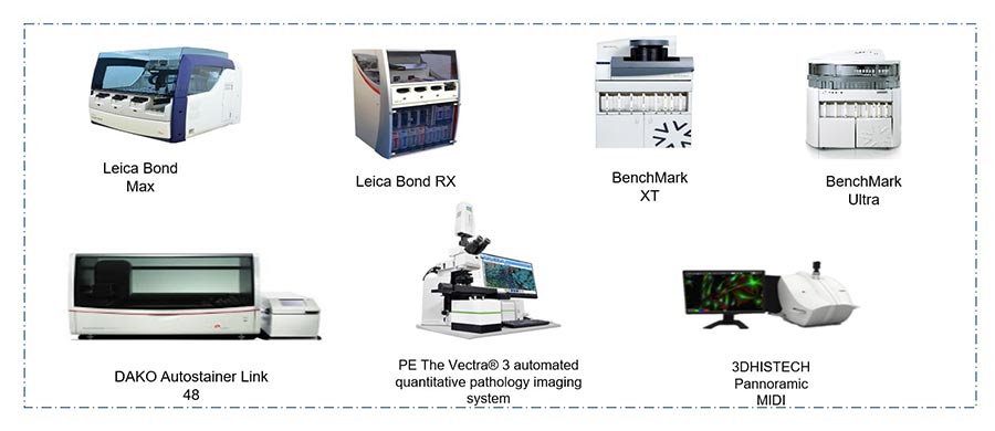 病理平台设备