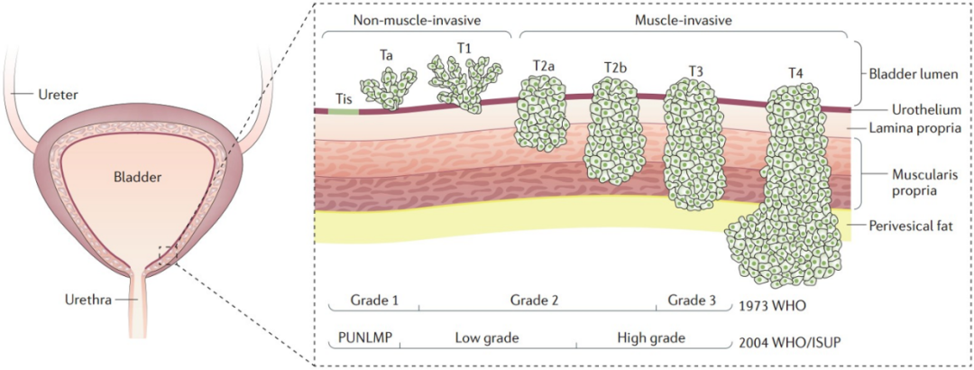 resource/images/2fea72d5ec3141a1a89c01c0cdaf0340_2.png