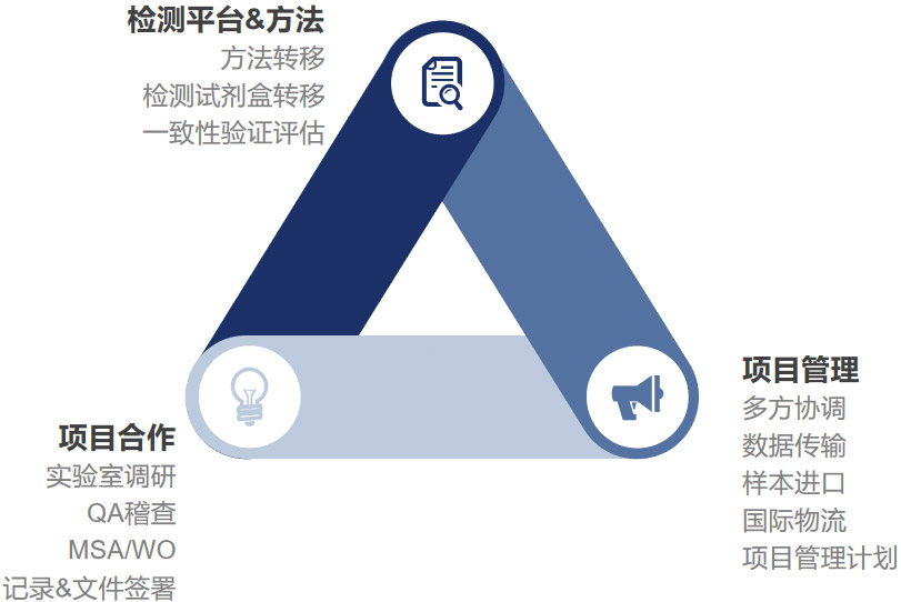 国际项目合作经验