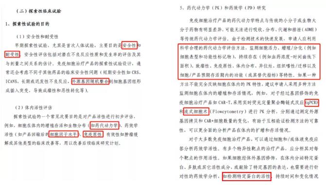 细胞免疫治疗产品临床试验技术指导原则（试行）部分指导意见