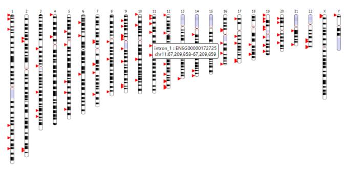 NGS方法检测病毒插入位点