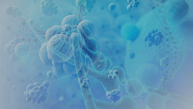 细胞免疫治疗Biomarker检测的整体解决方案
