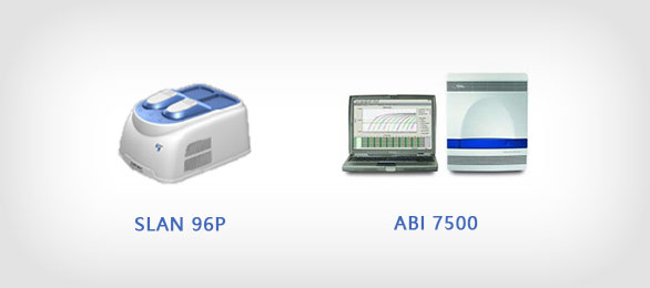 qPCR