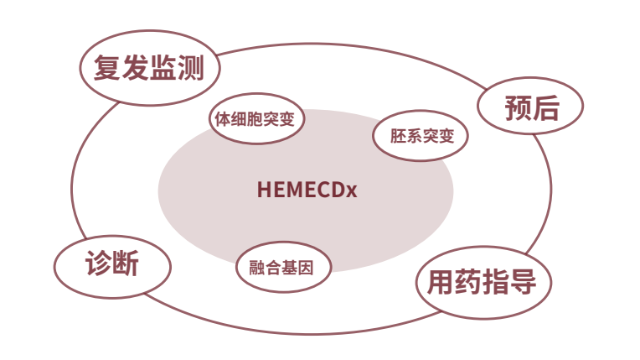 多维互补！HEMECDx助力血液肿瘤RNA融合基因检测