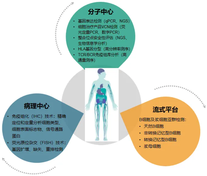 resource/images/adcbb1ac100d43839cbaec684b710958_24.jpg